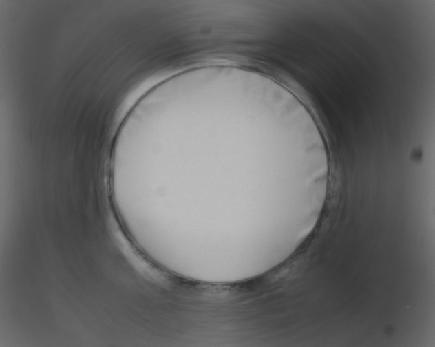 X0000115740811200912241646