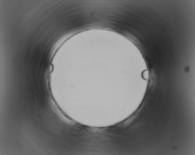 X0000115740812200912241646