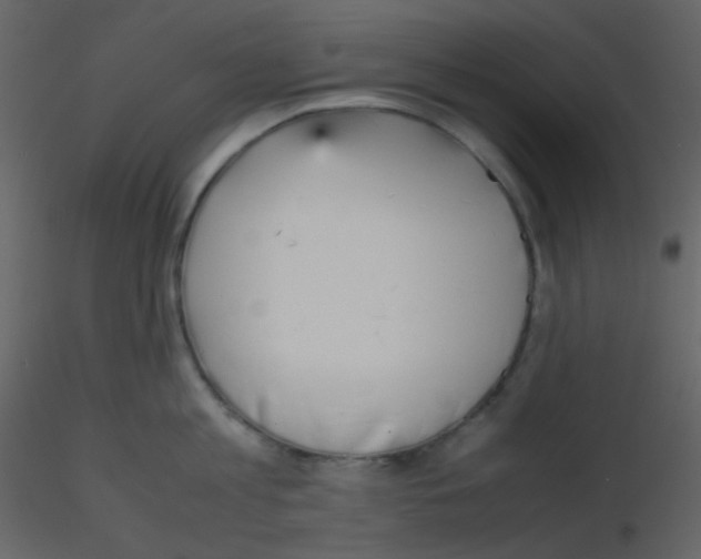 X0000115740813200912241646