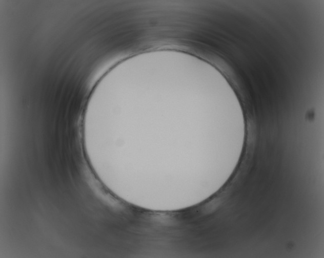 X0000115740814200912241646