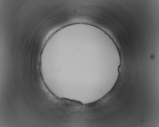 X0000115740815200912241646