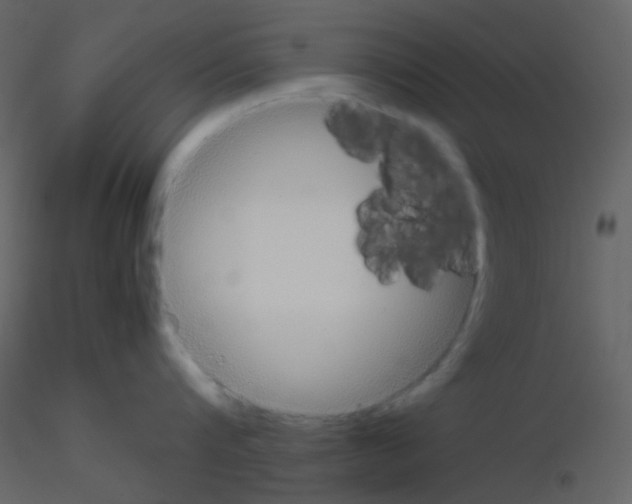 X0000115740816200912241646