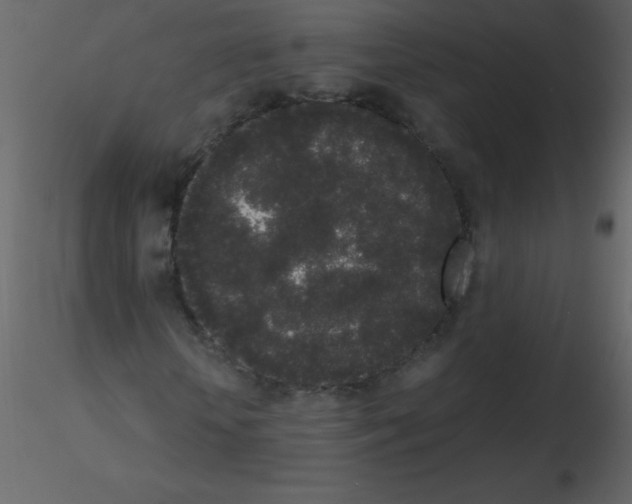 X0000115740818200912241645