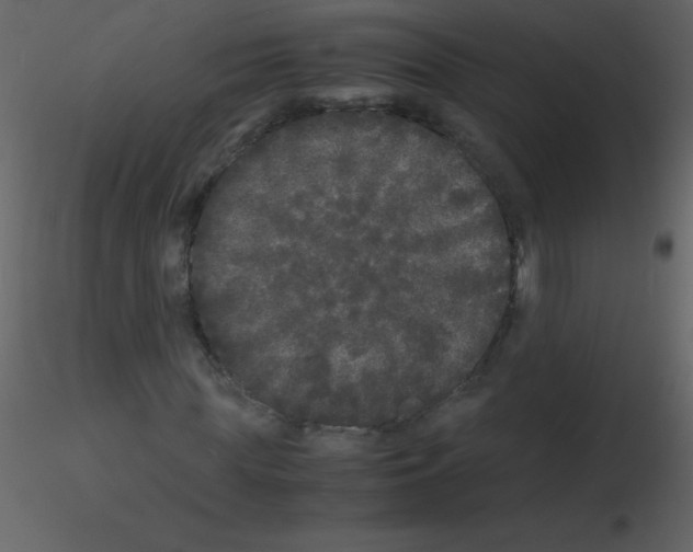 X0000115740819200912241645