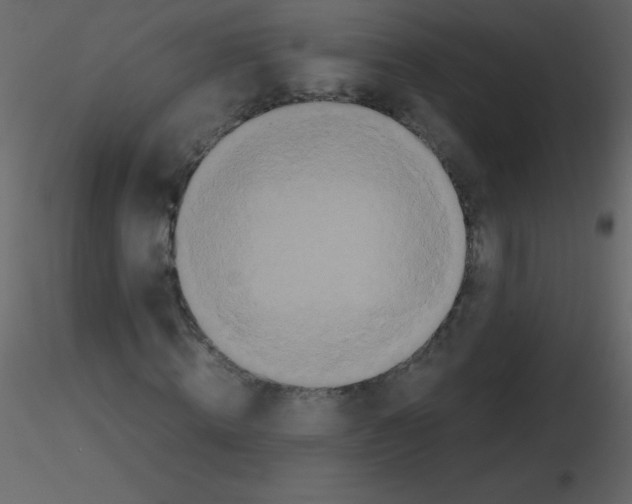 X0000115740820200912241645