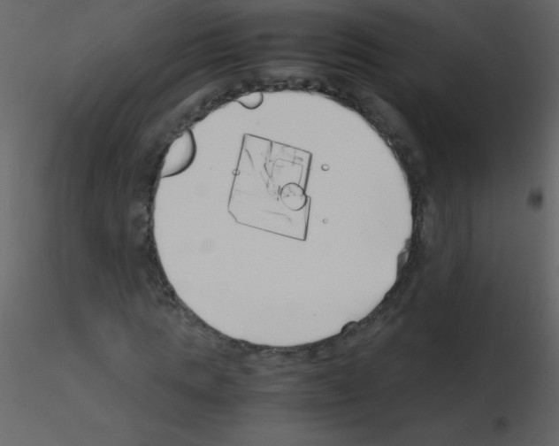 X0000115740821200912241645