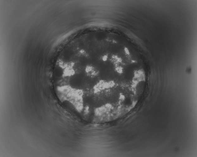 X0000115740822200912241645