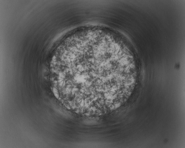 X0000115740823200912241645