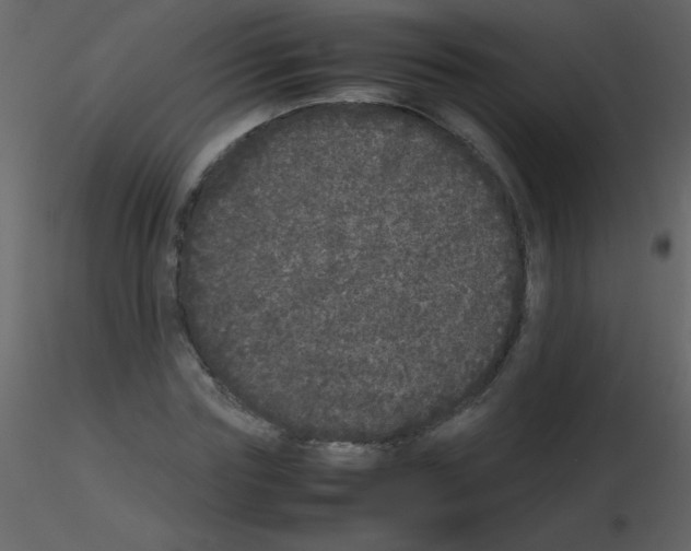 X0000115740827200912241645