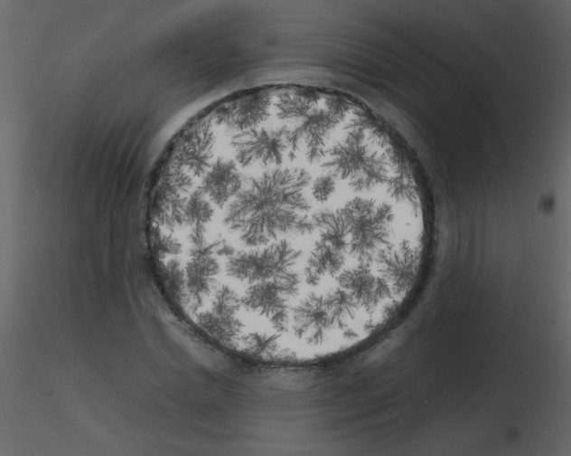 X0000115740830200912241645