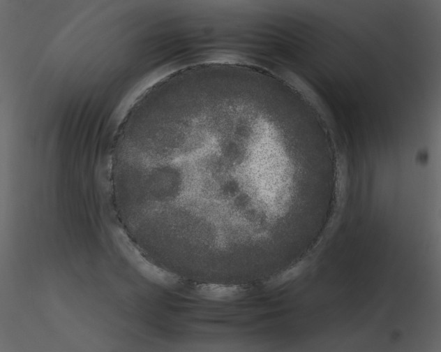 X0000115740831200912241645