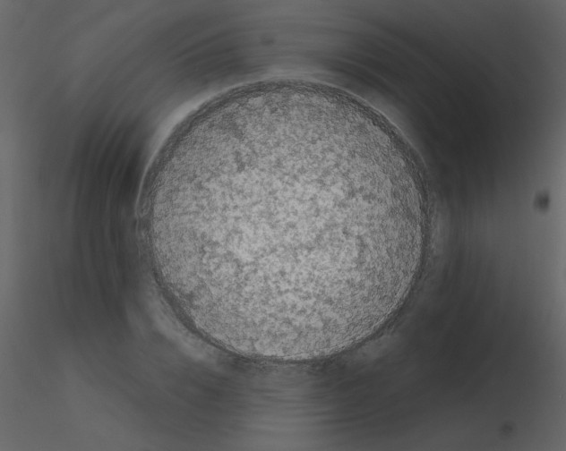 X0000115740832200912241645