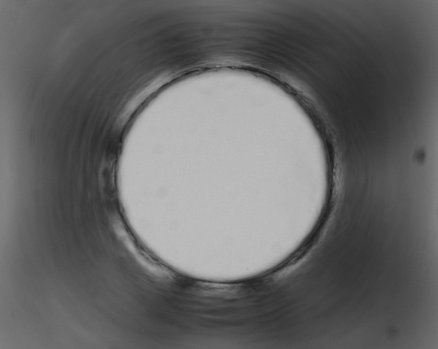 X0000115740833200912241645