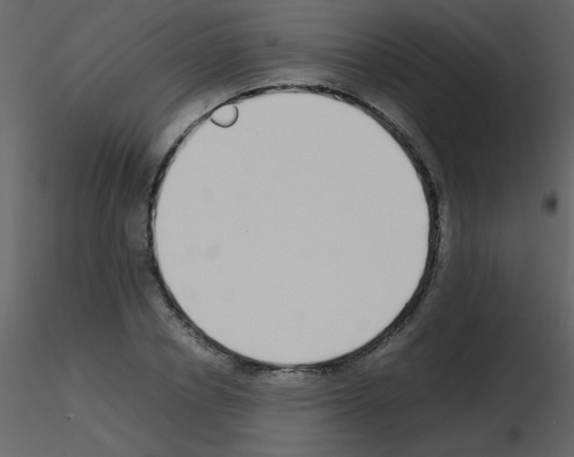 X0000115740834200912241645