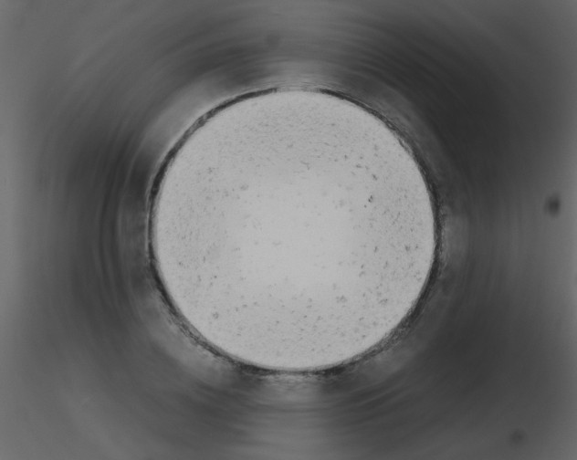 X0000115740836200912241645