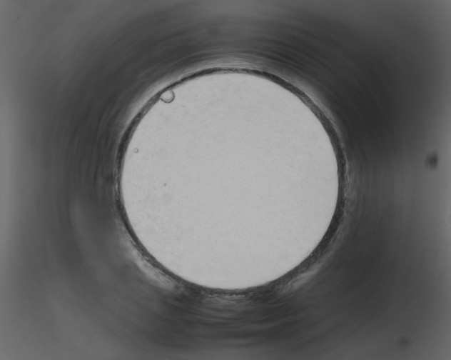 X0000115740837200912241645