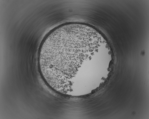 X0000115740840200912241645