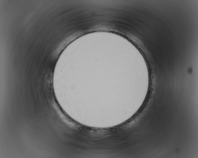 X0000115740841200912241645