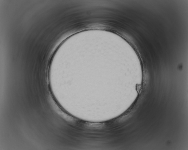 X0000115740843200912241645