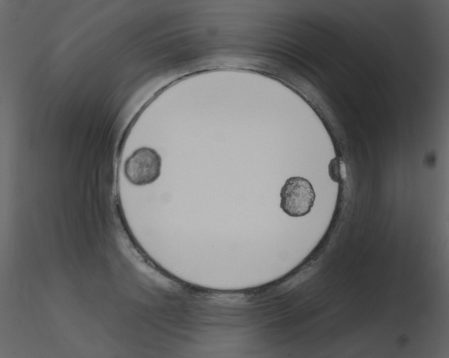 X0000115740844200912241645