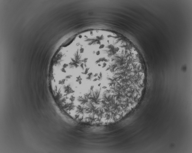 X0000115740845200912241645