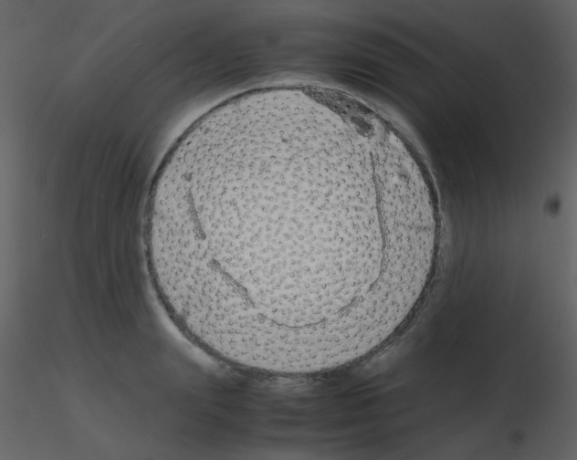 X0000115740847200912241645