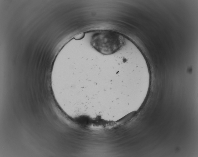 X0000115740850200912241645