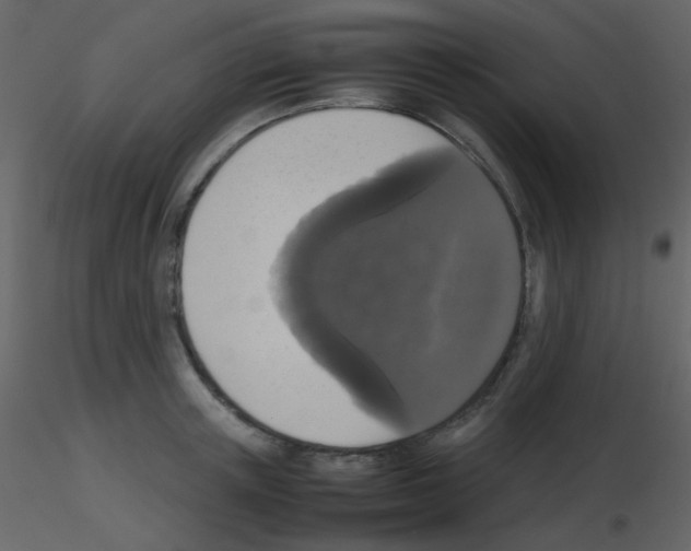 X0000115740851200912241645