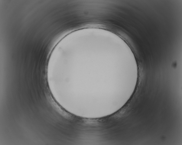 X0000115740852200912241645