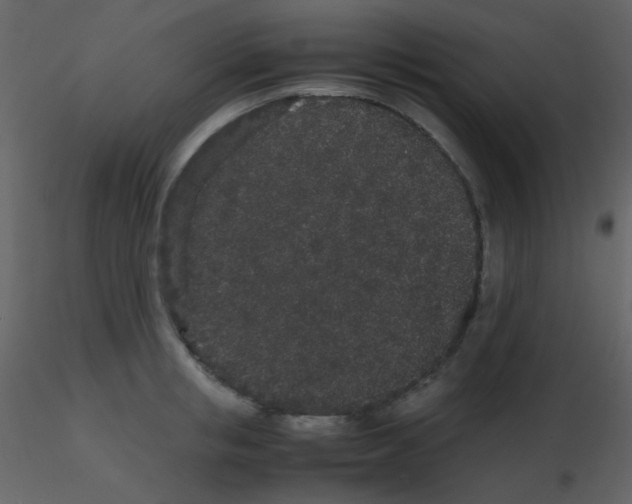 X0000115740853200912241645