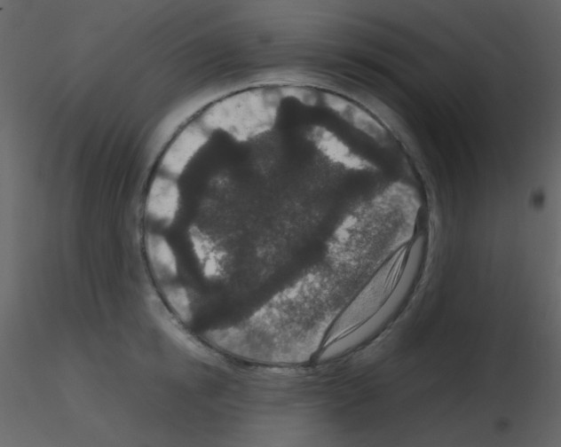 X0000115740854200912241645