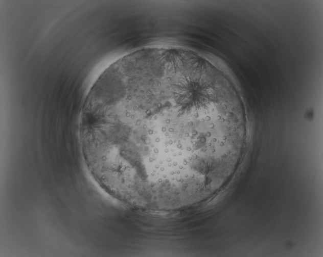 X0000115740855200912241646