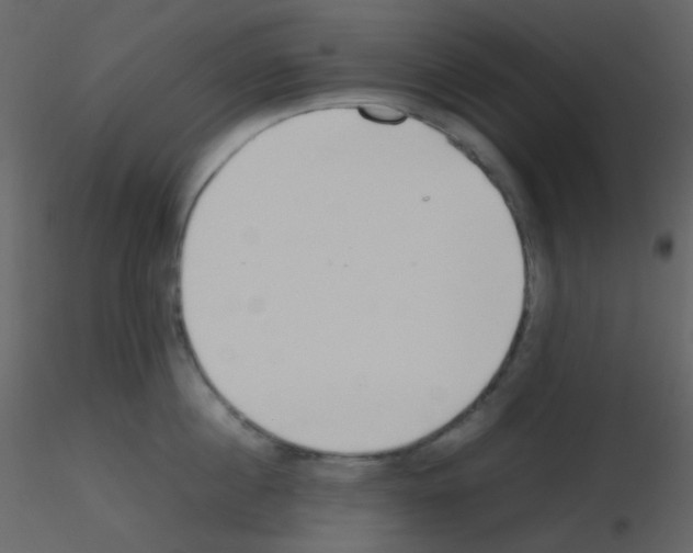 X0000115740860200912241646