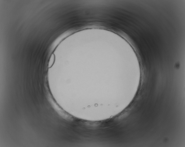 X0000115740861200912241646