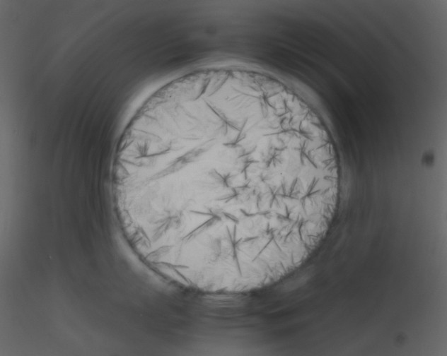 X0000115740863200912241646