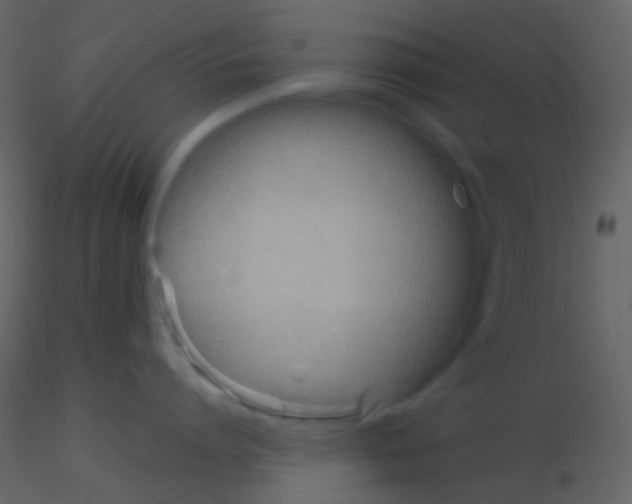 X0000115740864200912241646