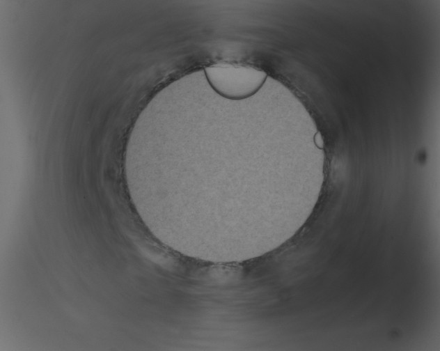 X0000115740865200912241645