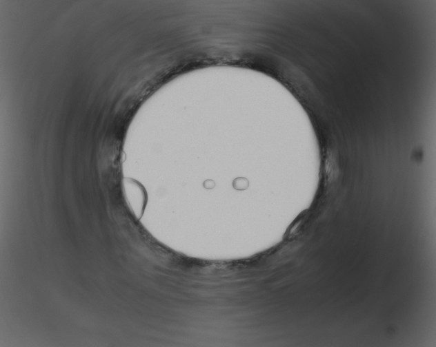 X0000115740867200912241645