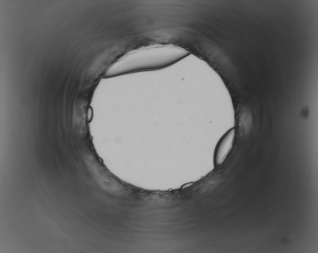 X0000115740868200912241645