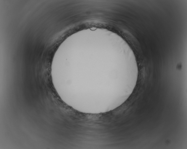 X0000115740870200912241645