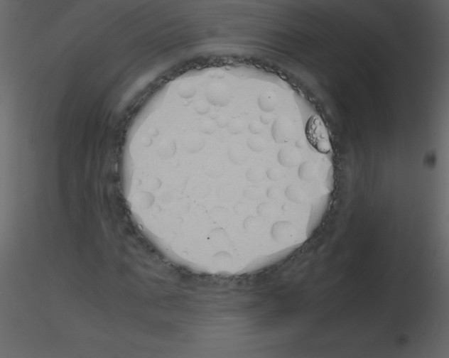 X0000115740871200912241645