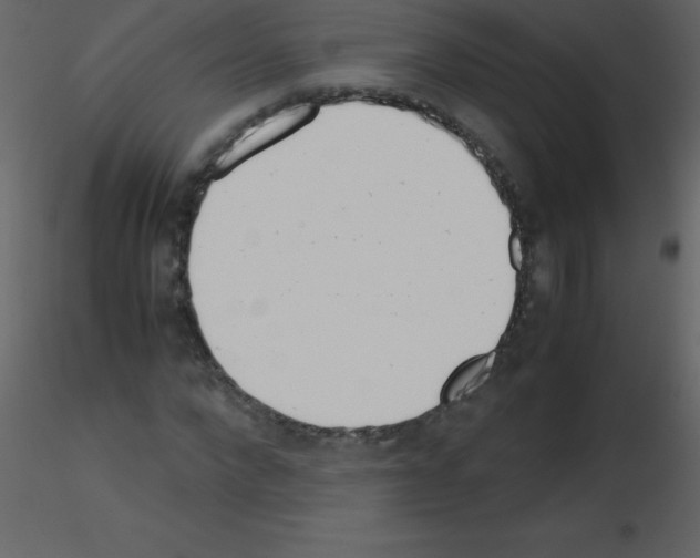 X0000115740872200912241645