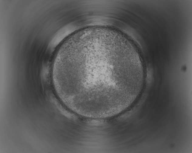 X0000115740874200912241645