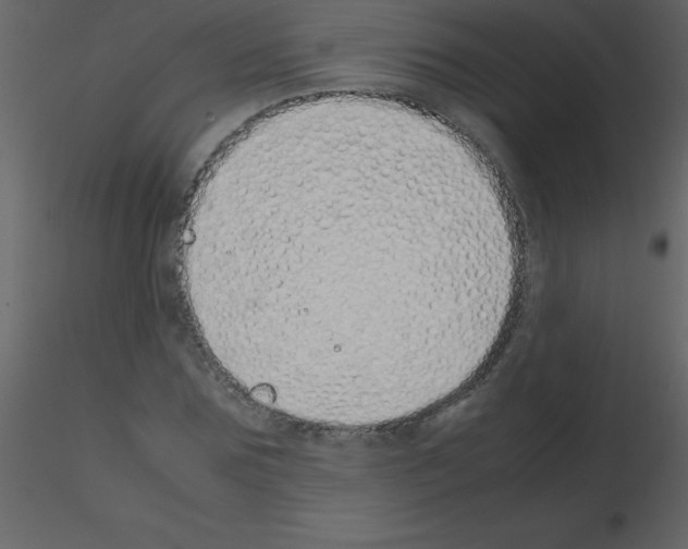 X0000115740875200912241645