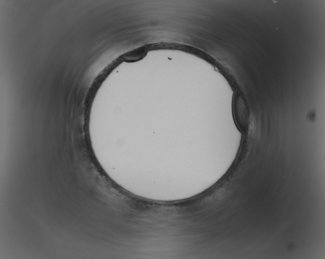 X0000115740877200912241645