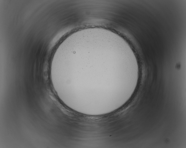 X0000115740878200912241645