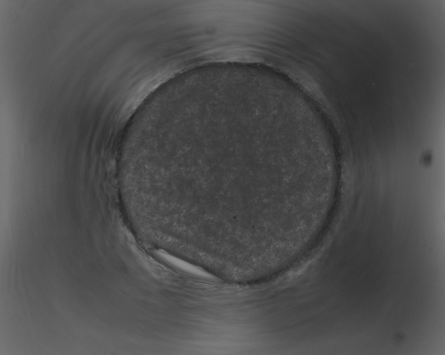 X0000115740881200912241645