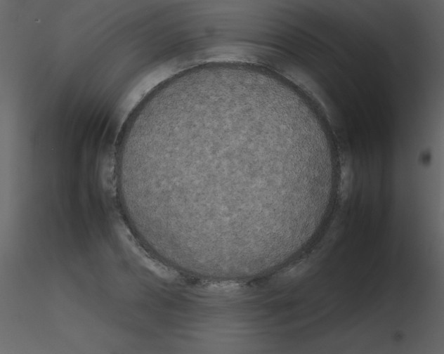 X0000115740882200912241645