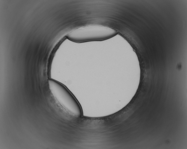 X0000115740884200912241645