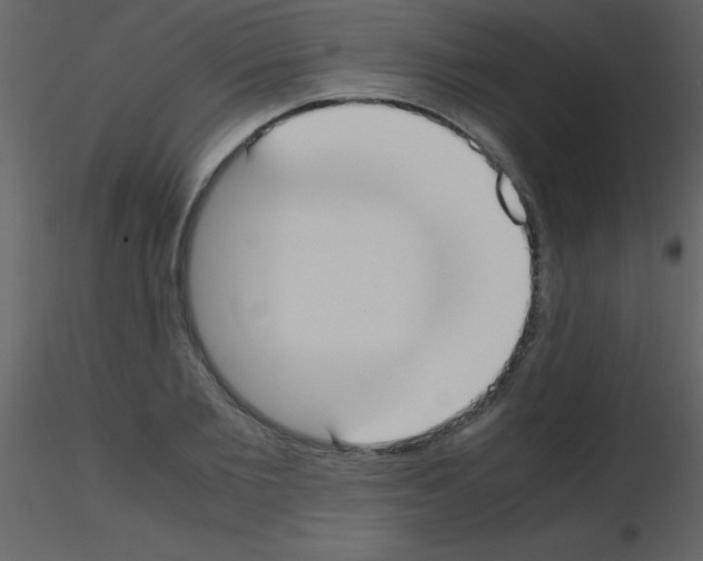 X0000115740885200912241645